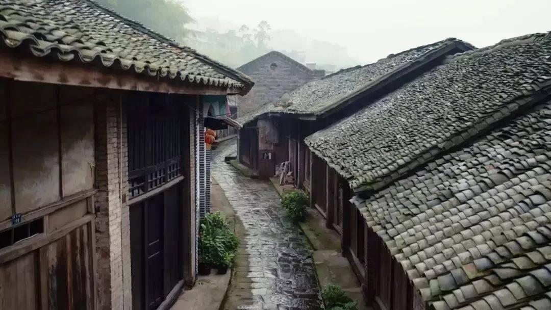有谁知道,全民小视频里拍的那个认证视频可以删除吗?-满足你的知识渴望-携程旅行网